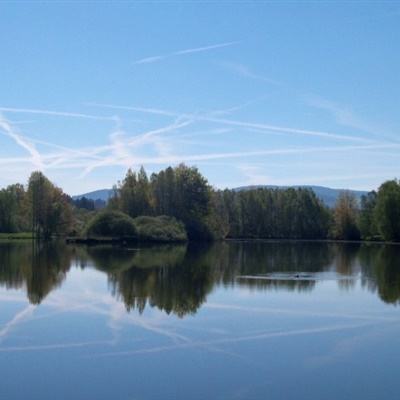 赛博体育下载手机版