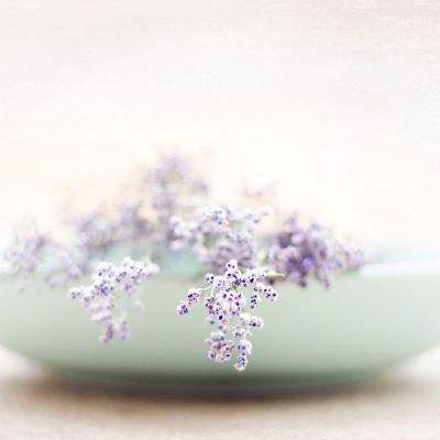 k1体育十年品牌值得信赖网址截图